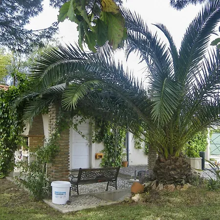 Casa Paraiso - Large In Vilamoura, Algarve, W/ Private P Villa Vilamoura
